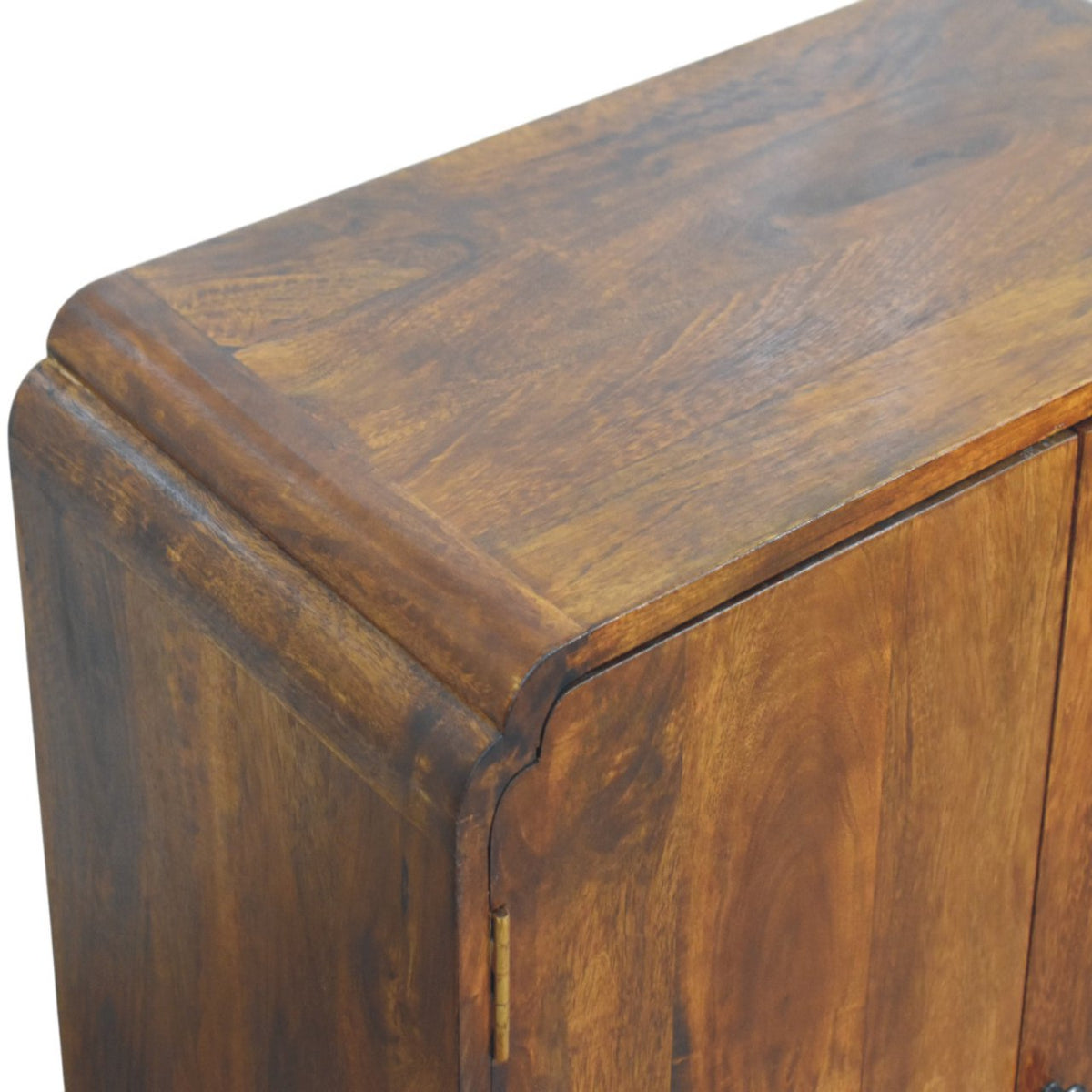 Ashland Chestnut 2-Door Cabinet