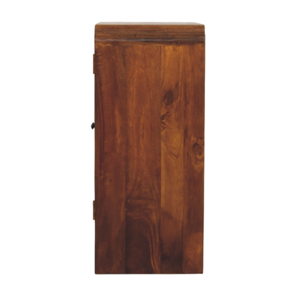 Ashland Chestnut 2-Door Cabinet